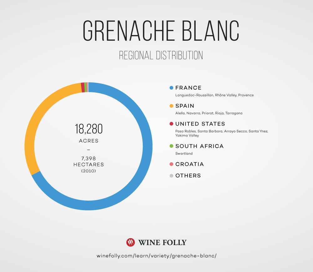 Thông tin về Grenache Blanc 2